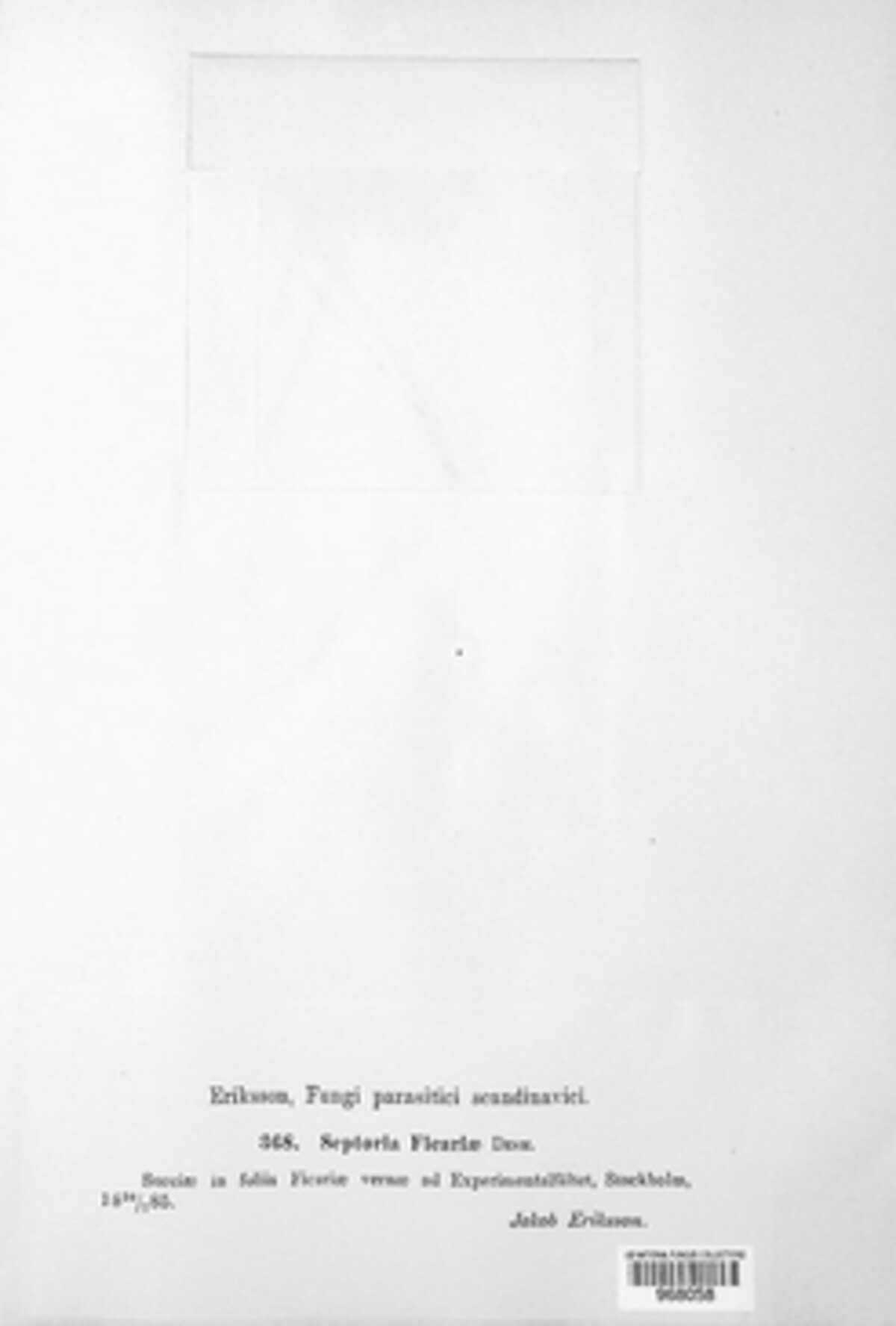 Septoria ficariae image